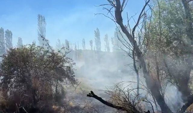 Çorum'da ekili arazi ve ağaçlık alanda yangın