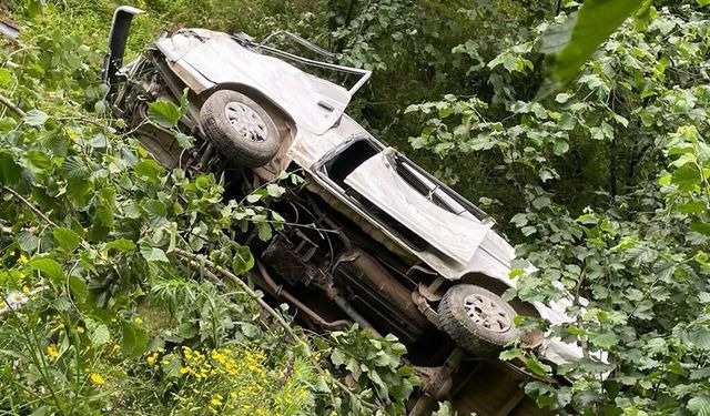 Giresun'da kamyonet fındık bahçesine yuvarlandı: 1 ölü