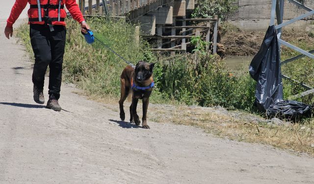 Kelkit Çayı'nda kaybolan İlker, 10 gündür aranıyor