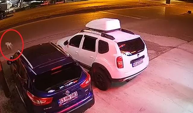 Köpeğe çarpmamak için manevra yaptı, takla atan ATV'de öldü; kaza kamerada