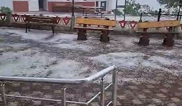 Ordu'da dolu yağışı etkili oldu