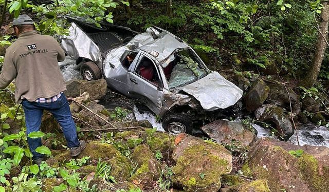 Ordu'da uçuruma yuvarlanan kamyonetteki karı-kocayı ölüm ayırdı