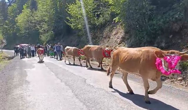 Trabzon'da renkli yayla göçü geleneği