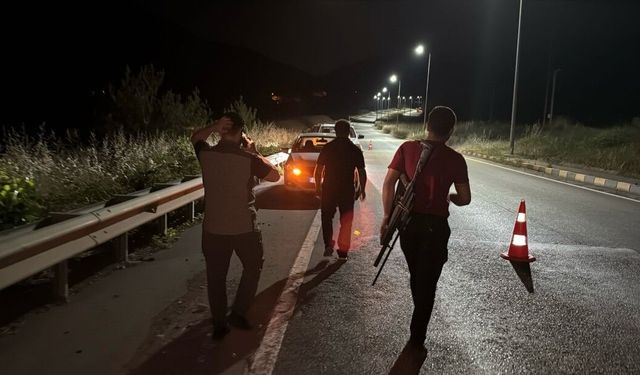 Tünelde otomobilin çarptığı bozayı, kaçarken çaya düştü