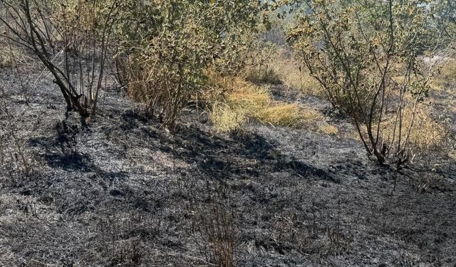 Zonguldak'ta anız yangını büyümeden söndürüldü