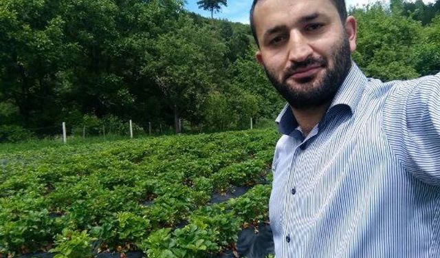 Çorum'da köye inen ayılar bahçelere zarar verdi