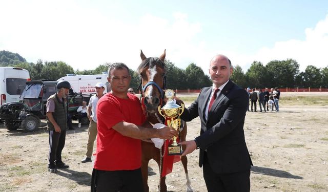 Ordu yaylalarında festival coşkusu