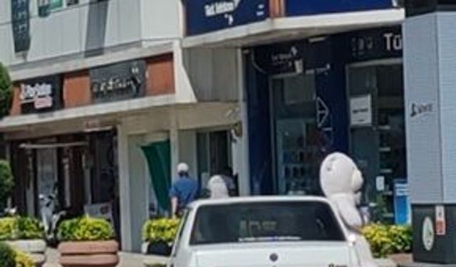 Pelüş ayı ile turlayan ehliyetsiz sürücüye ceza