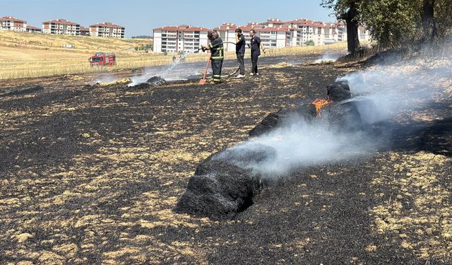 Tarlada çıkan anız yangınında 25 dönüm zarar gördü