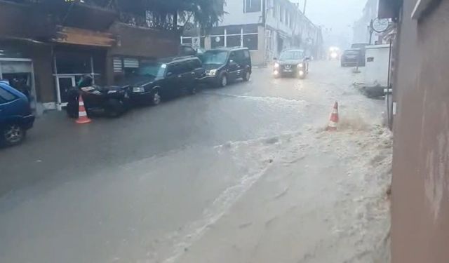 Artvin'de sağanak nedeniyle ulaşım aksadı (2)