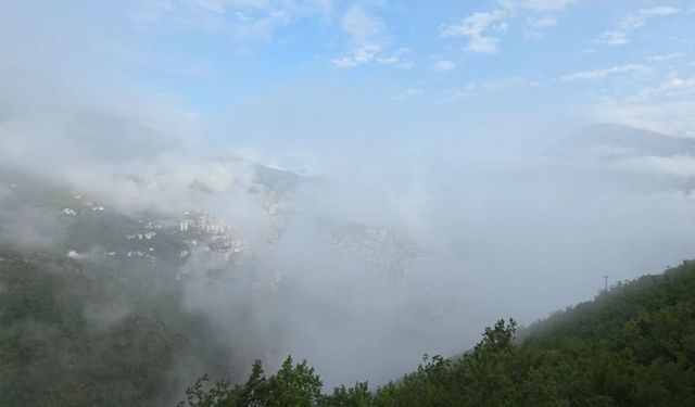 Artvin'de sis bulutu görsel şölen oluşturdu