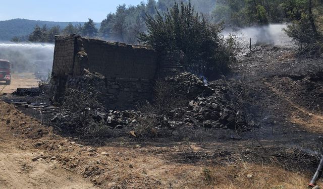 Bolu'da ot yangını eve sıçradı