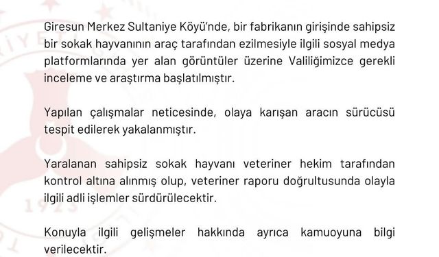 Ciple köpeğin üzerinden geçti; o anlar anlar kamerada (2)