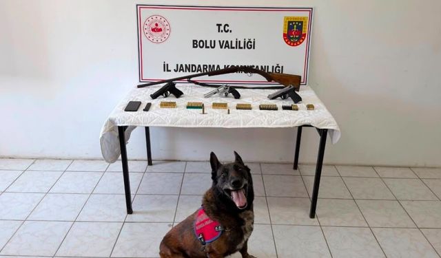 Evinde 3 tabanca ve ruhsatsız tüfek bulunan şüpheli tutuklandı