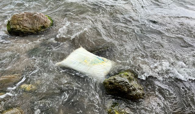 Ordu'da kıyıya vuran konteynerde inceleme