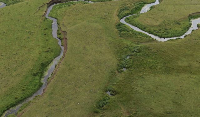 Ordu'da menderesler ziyaretçilerini ağırlıyor