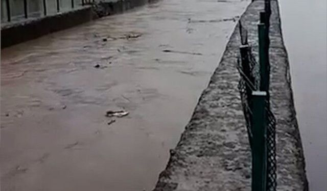 Samsun'da kuvvet yağış etkili oldu
