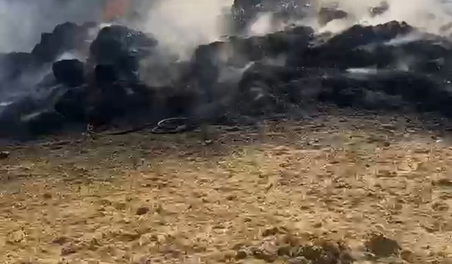 Tarlada çıkan yangında traktör ve patoz makinesi yandı