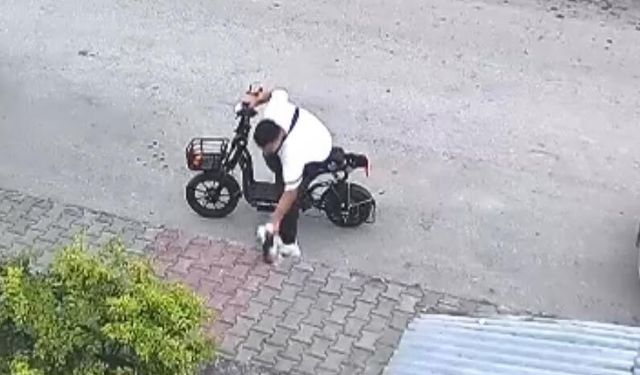 Yavru kediyi öpüp, boğan otizmli serbest bırakıldı