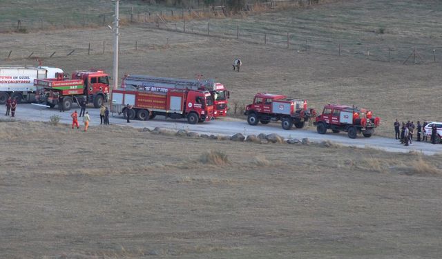 Anız yangınında alevler ormana sıçradı (2)
