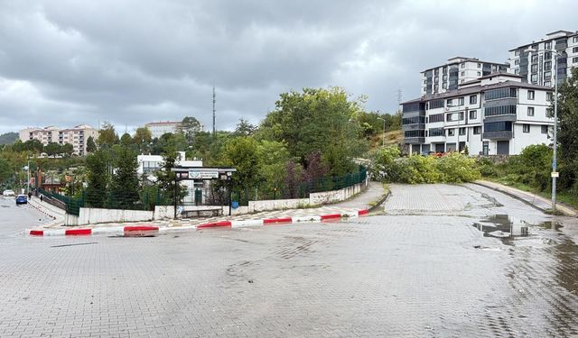 Bartın'da kuvvetli rüzgar; ağaçlar devrildi
