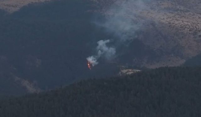 Bolu'da orman yangını