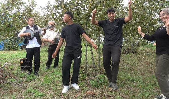 Fındık bahçesinde hasada 'çalgılı mola'