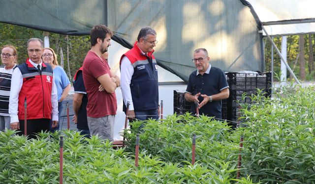 'Kesme çiçek üretiminden yıllık 7 milyon adet ürün elde ediliyor'