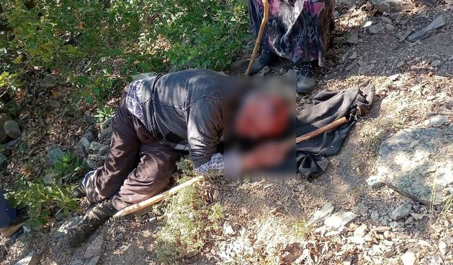 Kuşburnu toplarken 30 metreden yuvarlanıp yaralandı
