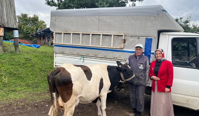 Ordu'da selde hayvanlarını kaybeden Halil Güney'e muhtarlardan destek