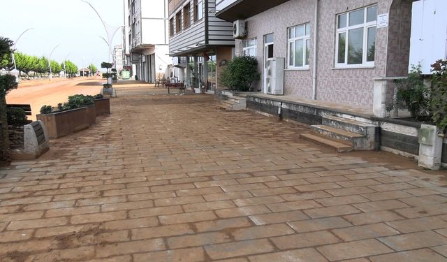 Rize'de heyelanlı bölgede çay hasadı