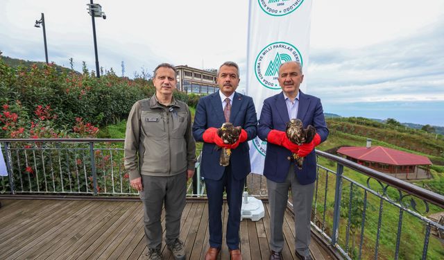 Rize'de tedavisi tamamlanan arı şahinleri çip takılarak doğaya salındı