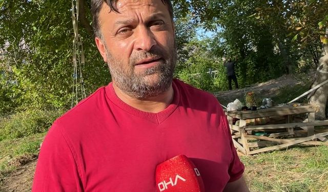 Artvin'de geleneksel yöntemlerle çeltik hasadı