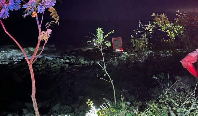 Artvin'de kontrolden çıkan TIR, deniz kenarındaki kayalıklara takıldı