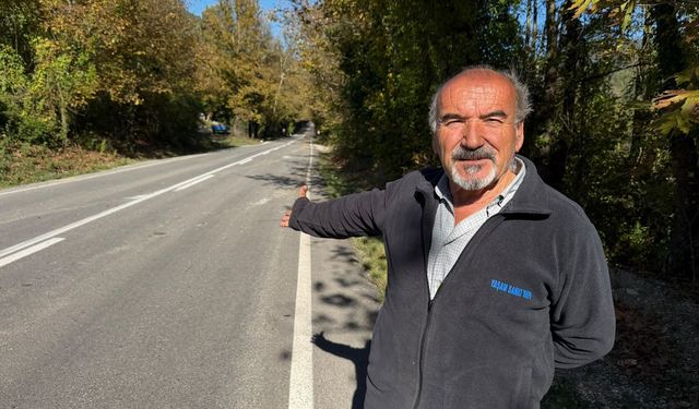 Bartın'da ağaç tünel yol, doğası ve manzarasıyla ilgi görüyor