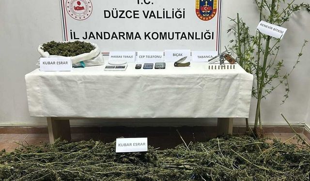 Düzce'de uyuşturucu operasyonu: 2 gözaltı