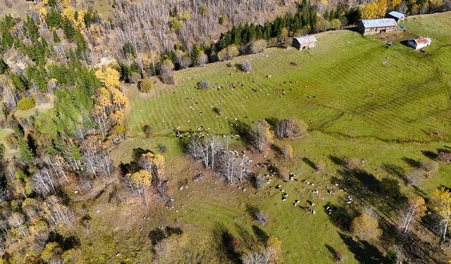 Foto safariyle ilçenin tarihi ve doğal güzelliklerini keşfettiler