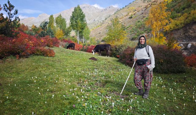Kayaların üzerine kurulan köyde sonbahar manzarası