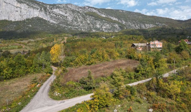 Küre Dağları Milli Parkı'nda sonbahar renkleri