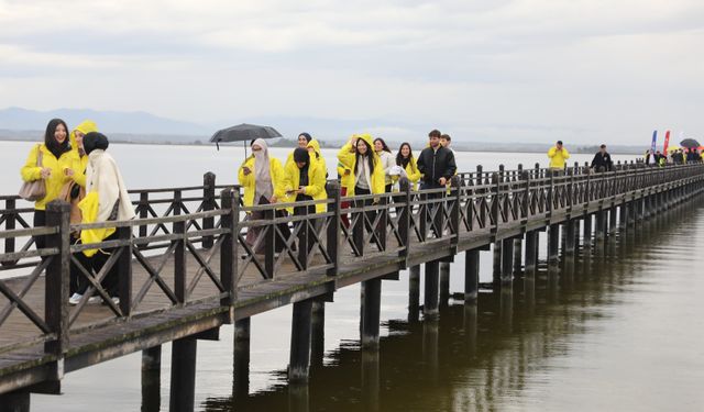 Samsun'da doğa gözlem kampında nadir kuş türleri görüntülendi