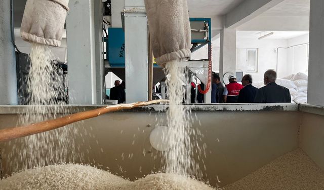 Tosya pirinci hasadı dualarla başladı