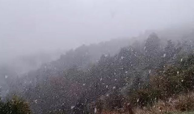 Yedigöller Milli Parkı'nda hafif kar yağışı