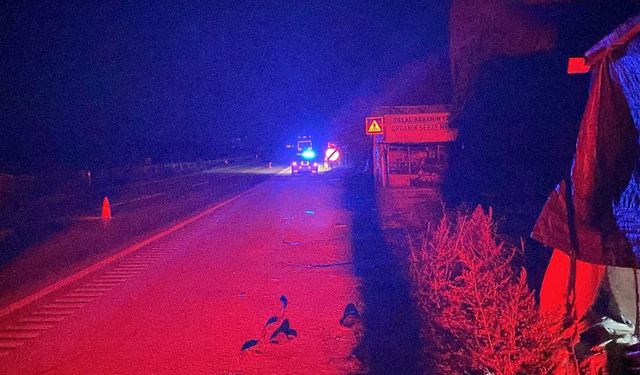 Yolun karşısına geçmek isteyen yayaya TIR çarptı: 1 ölü