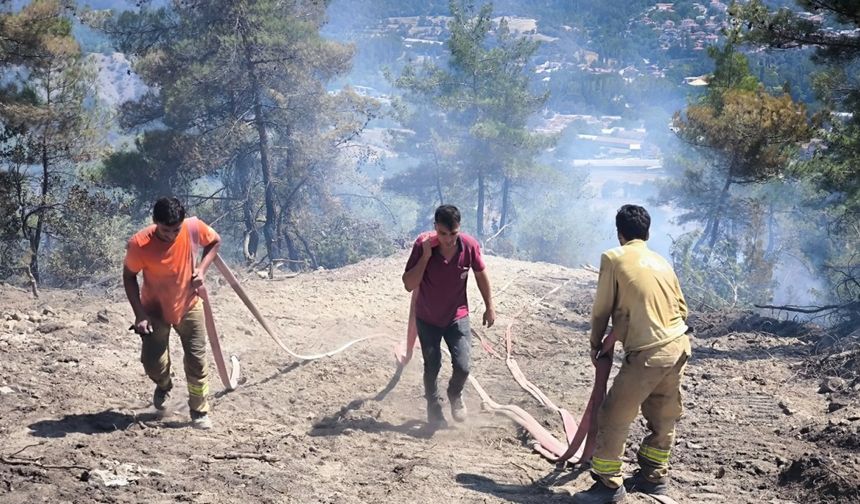 Bolu'da orman yangını 72 saat sonra kontrol altında (2)