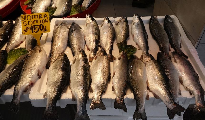 Av yasağına sayılı günler kala balık tezgahlarında çeşit bolluğu