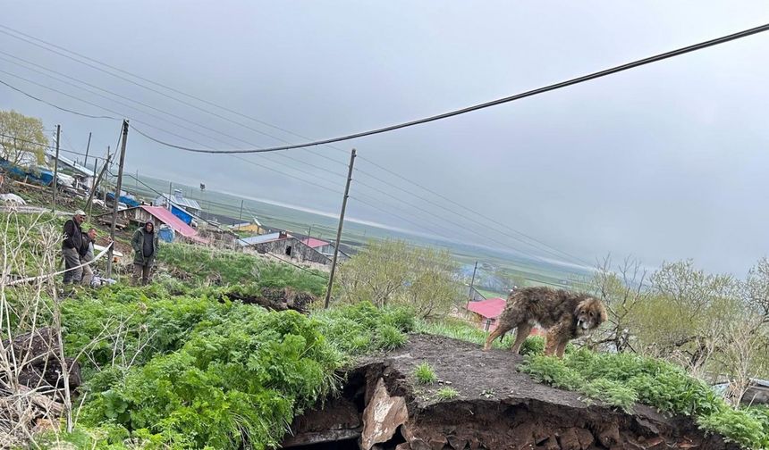 Ardahan'da ahır çöktü; 3 inek öldü