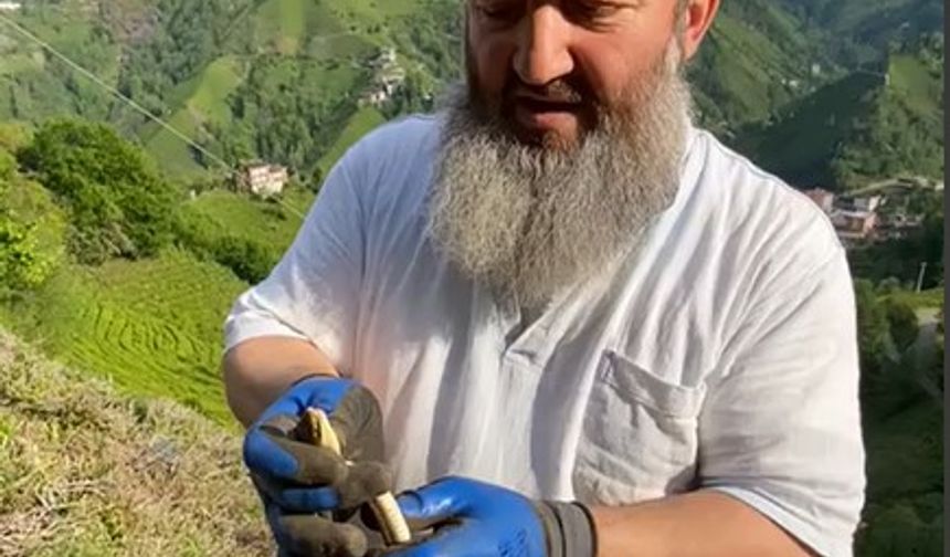 Bahçede yakaladığı yılanı boynuna doladı
