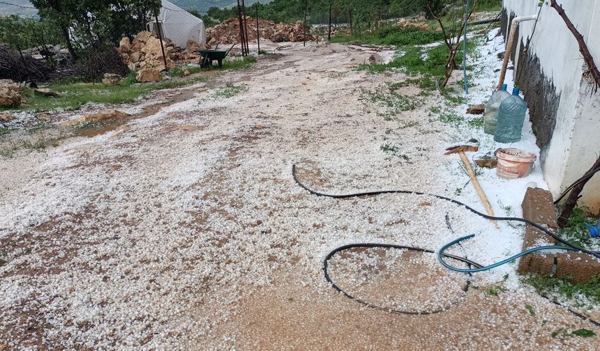 Diyarbakır’da dolu etkili oldu, bağ ve bahçeler zarar gördü