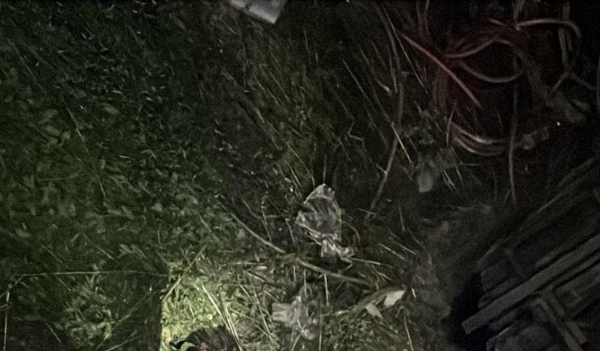 Freni boşalan kamyonet, otomobillere çarpıp Eşen Çayı’na uçtu; 2 yaralı