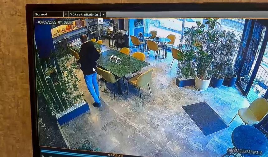 İstanbul - Şişli'de Bahar Aksu cinayetinde şüphelilerin keşif görüntüleri ortaya çıktı